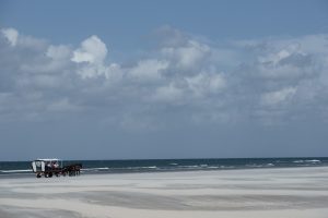 Huifkar op het strand